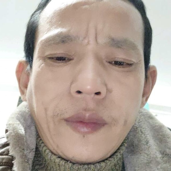 狗就零碎的照片