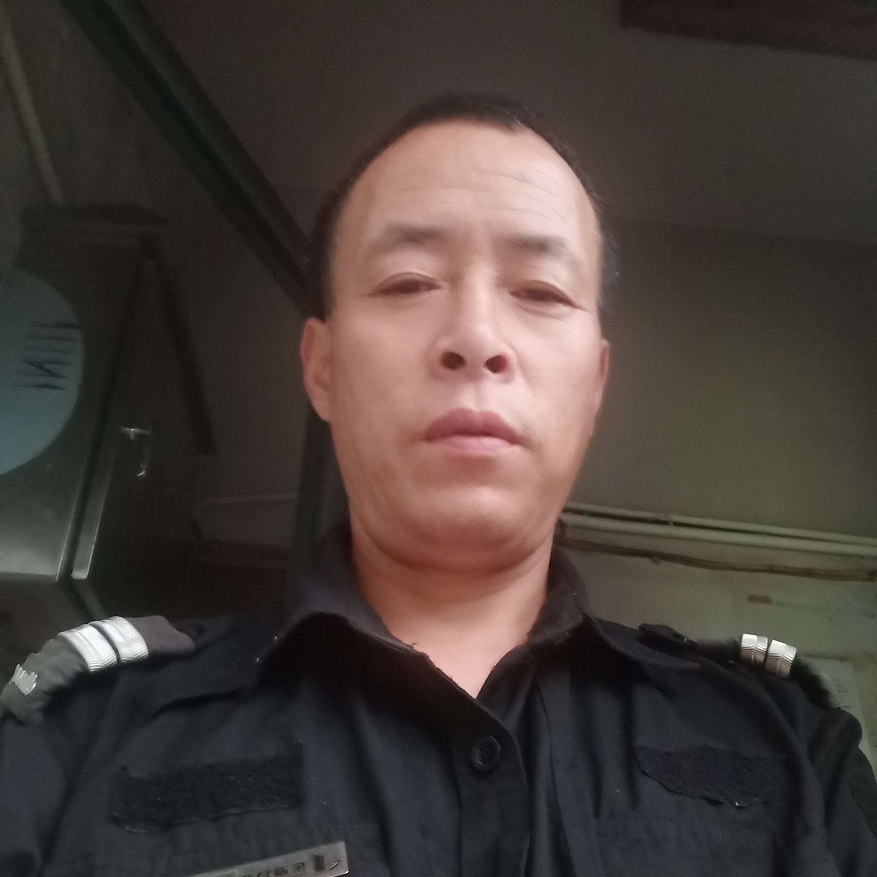 狗爱务实的照片