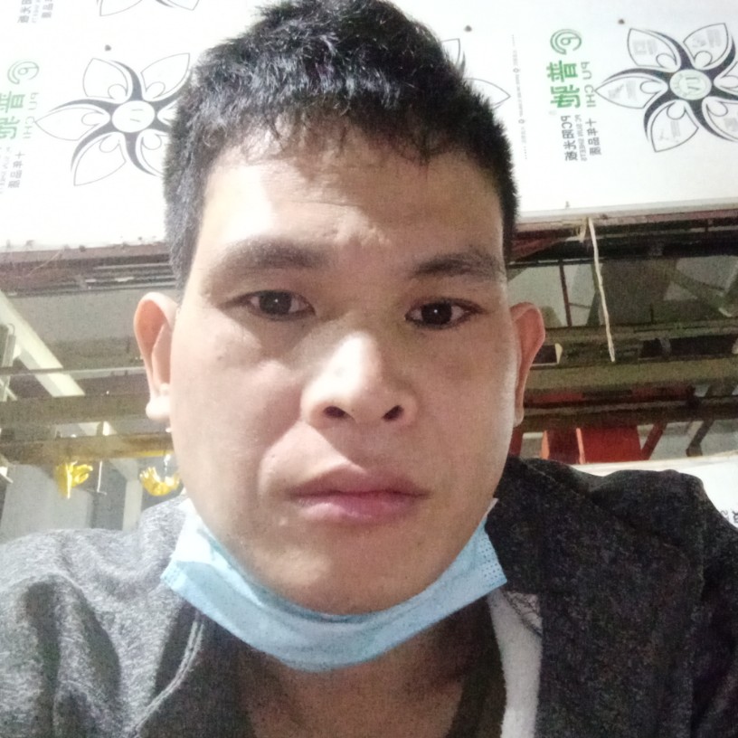 羽毛美丽的照片