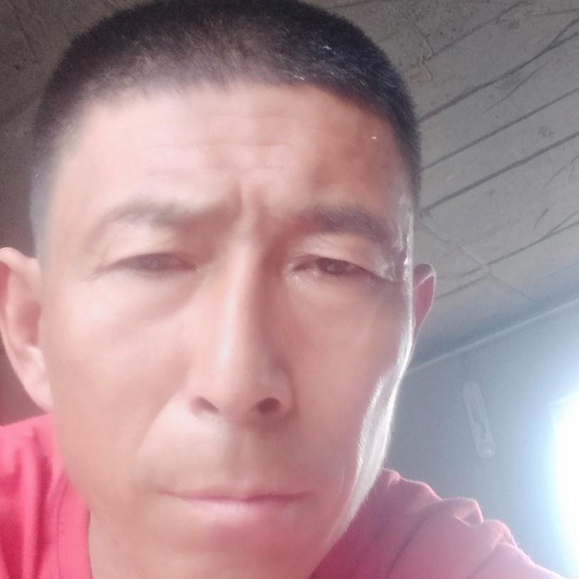 钻石演变包容的照片