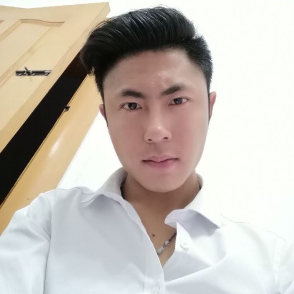 满意玫瑰的照片