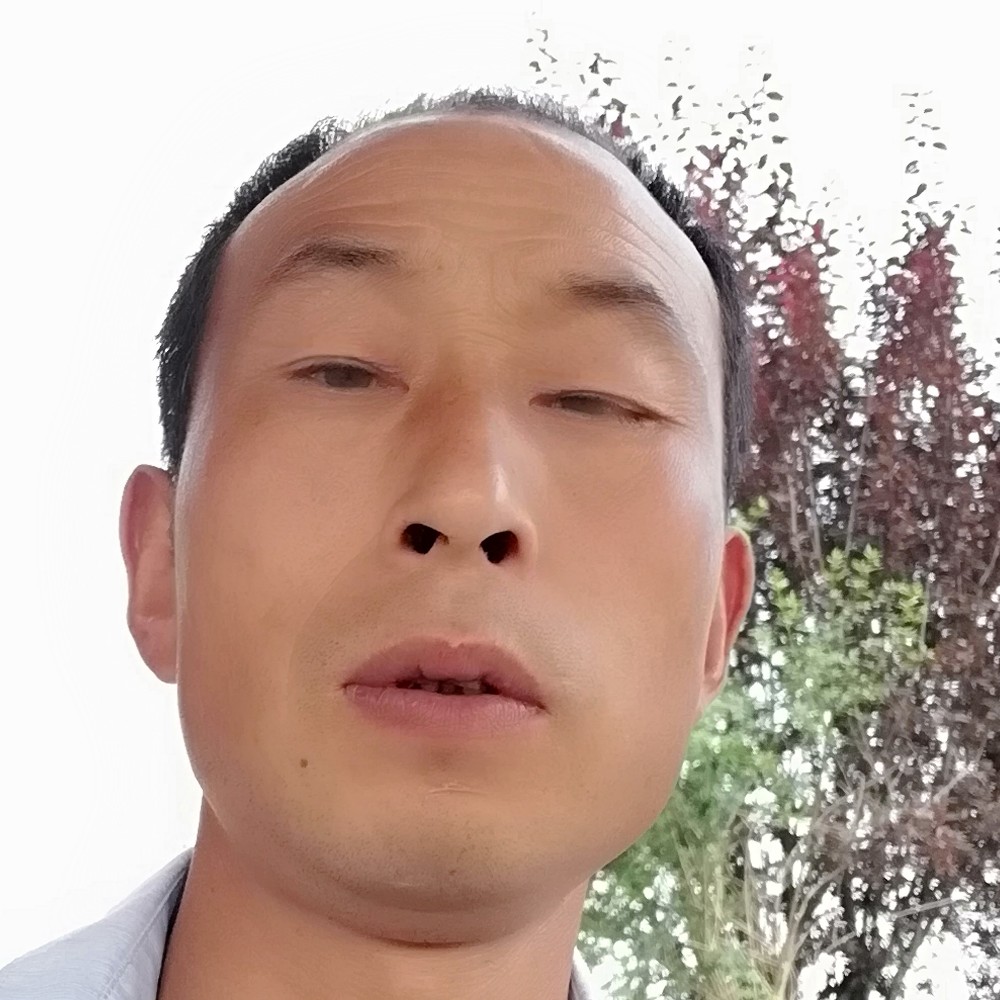 小白菜請有魅力的照片