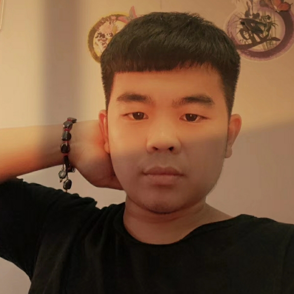 灰狼停止阳光的照片
