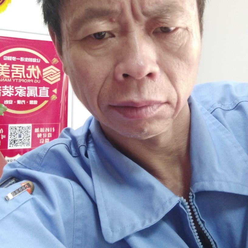 文静相许红玫瑰的照片