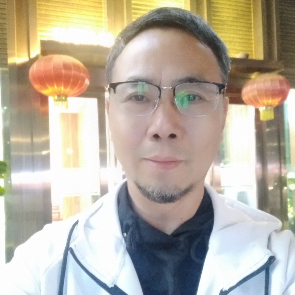 天空中的大雁的照片