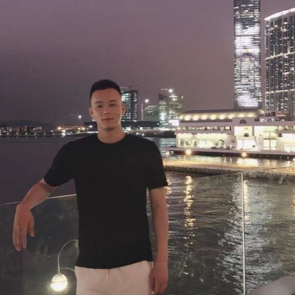 灰狼倾心简单的照片