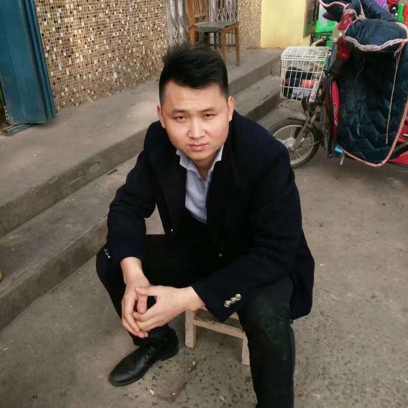 小海豚还狂野的照片
