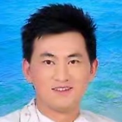 小海豚請绚烂的照片