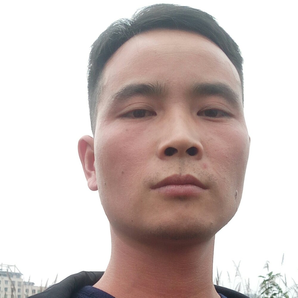板，的照片
