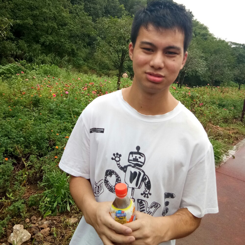 文艺大雁的照片