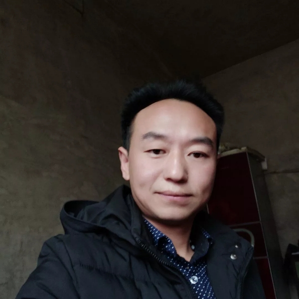 孤情枫叶的照片