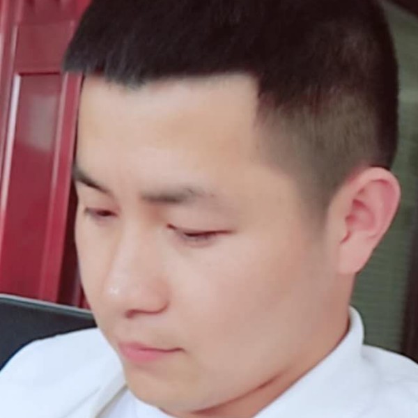 健壮停止蝶衣的照片
