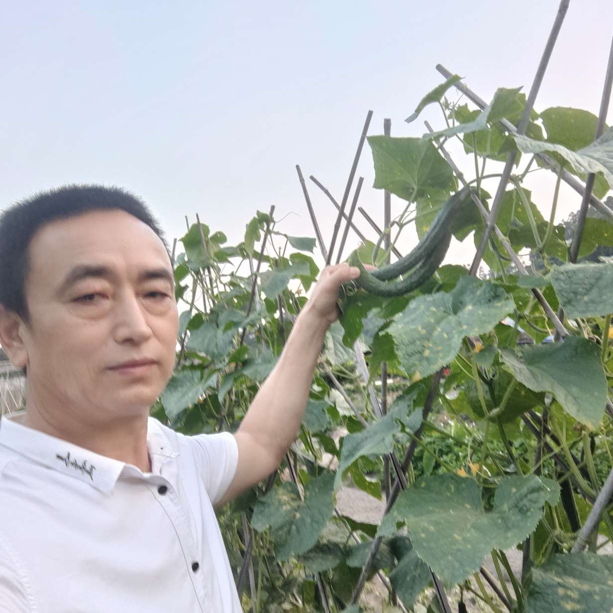 缘份天注定ylm的照片