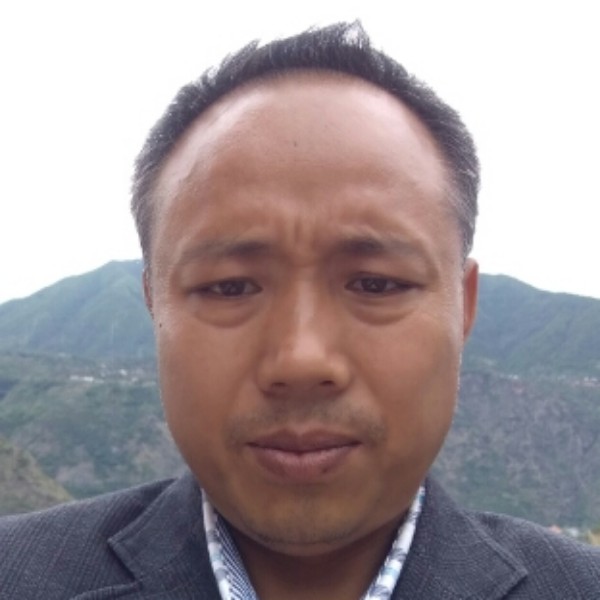 飞鸟的勤恳的照片