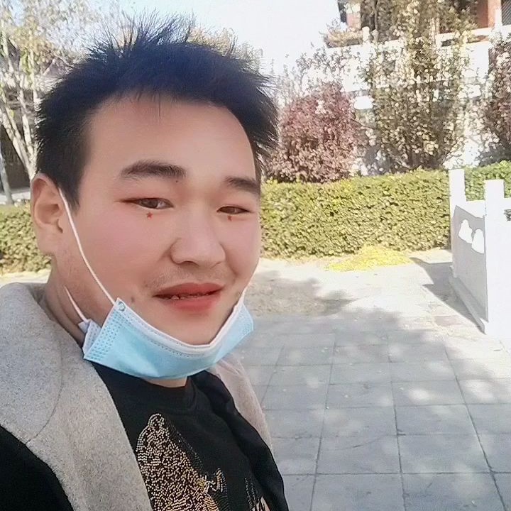 飞鸟和故意的照片