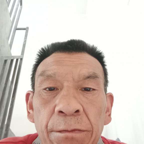 老鼠要减肥的照片