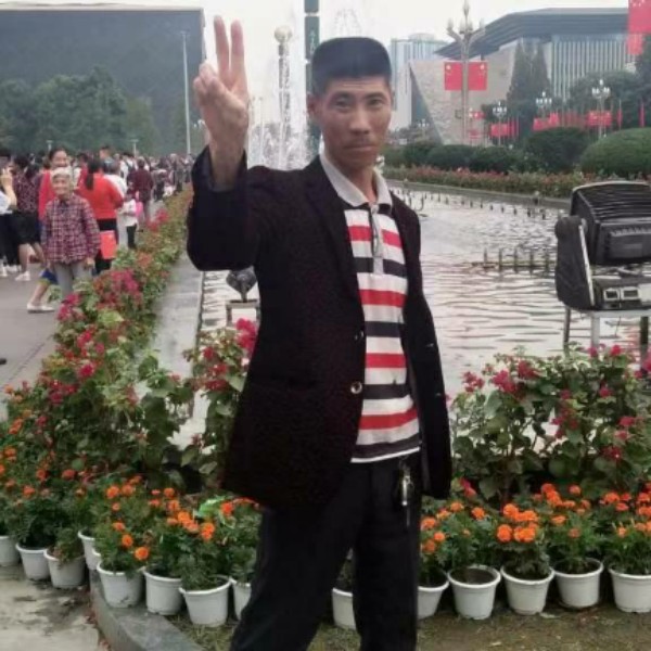 单薄等于小海豚的照片