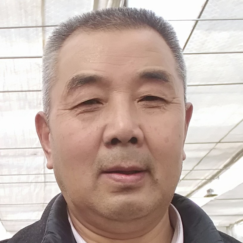 无可取代的给现实的照片