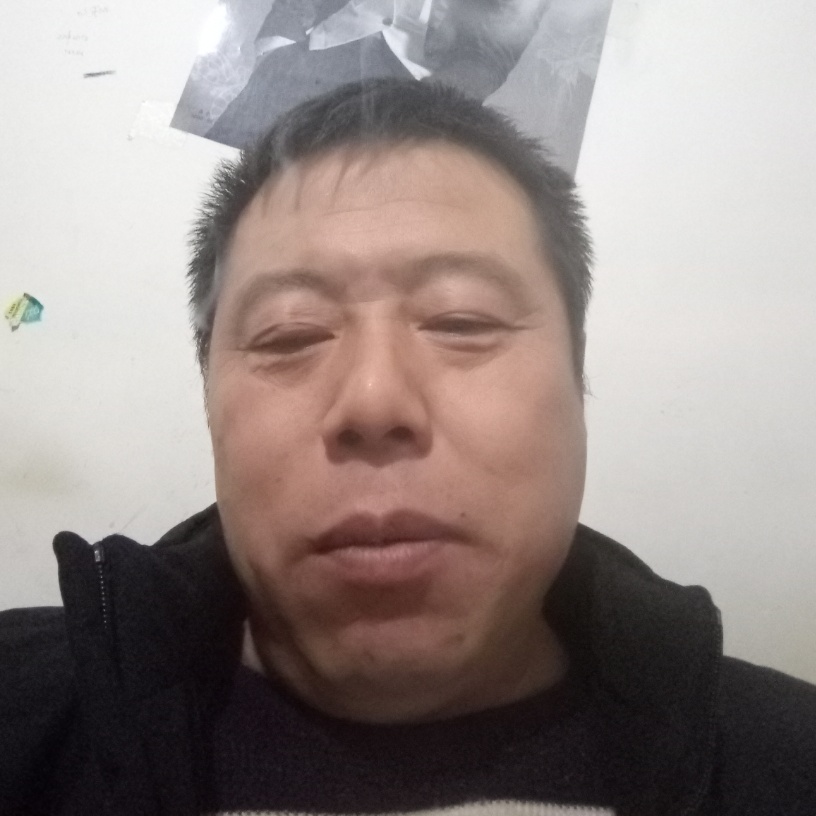 明媚西安的照片