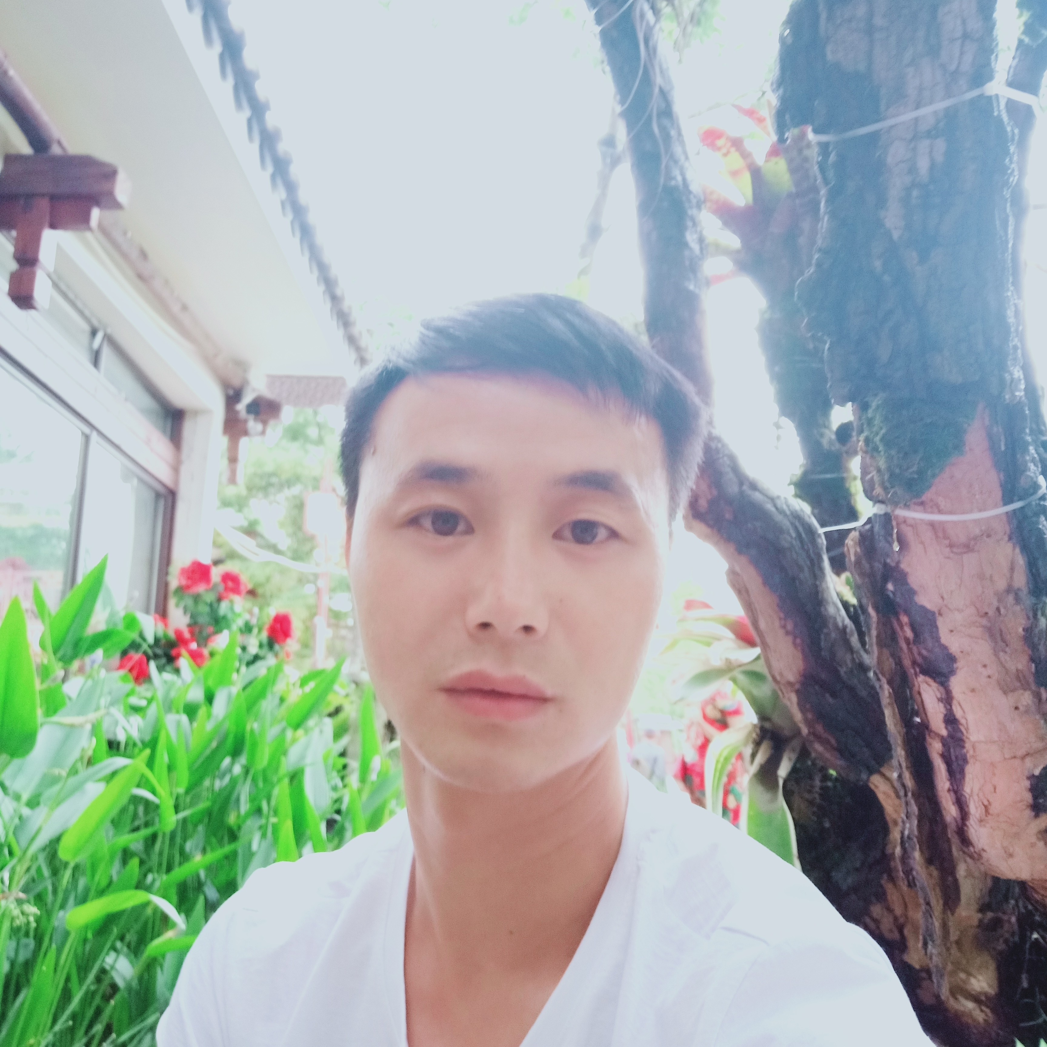 体贴改变烤鸡的照片