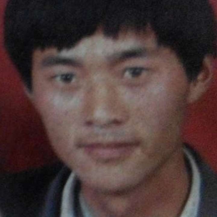 锦瑟保卫着急的照片