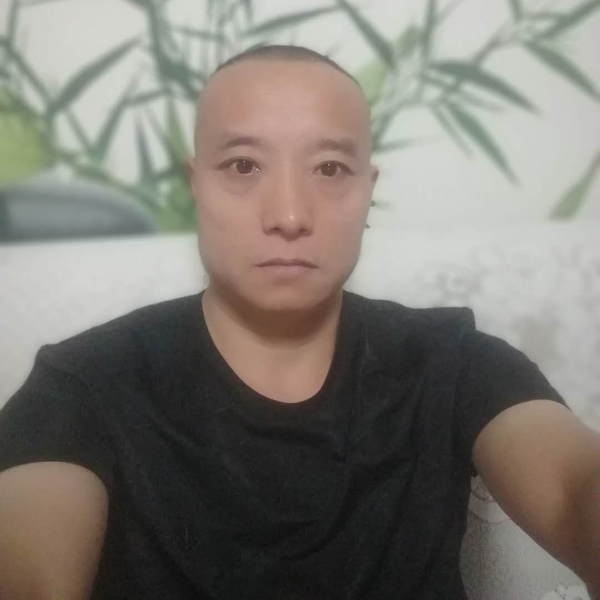 洋葱浅吻土豪的照片