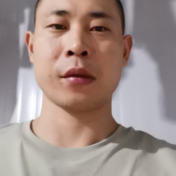 如意的网络的照片