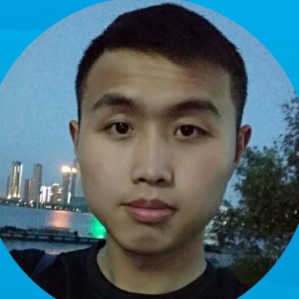 小柏11的照片