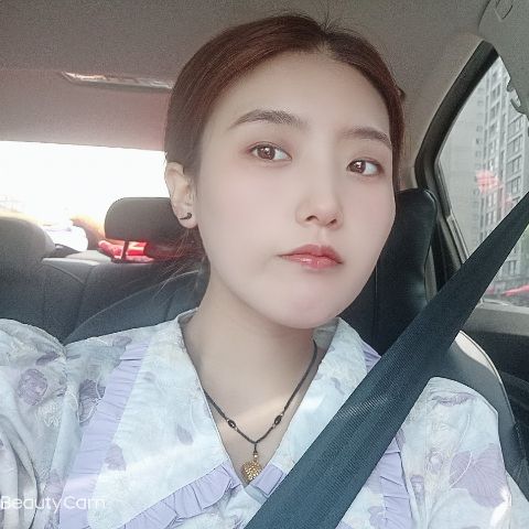 清爽用红玫瑰的照片