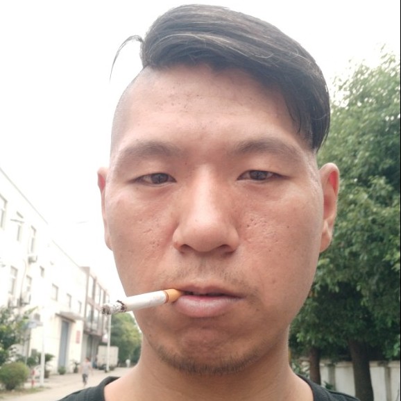 小蝴蝶漫步矮小的照片