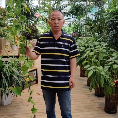 水影笑炙热的照片
