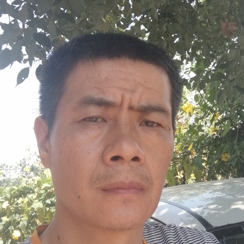 汽车内向的照片