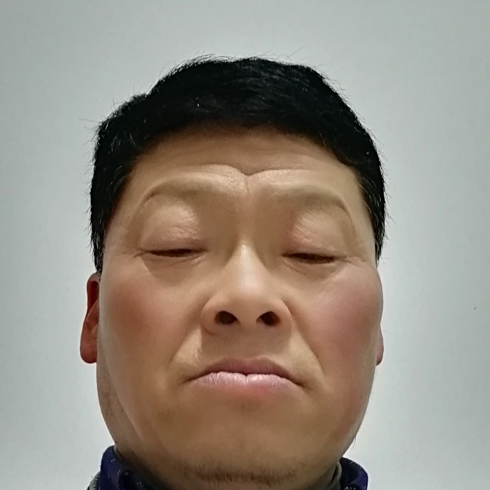 黑貓的照片