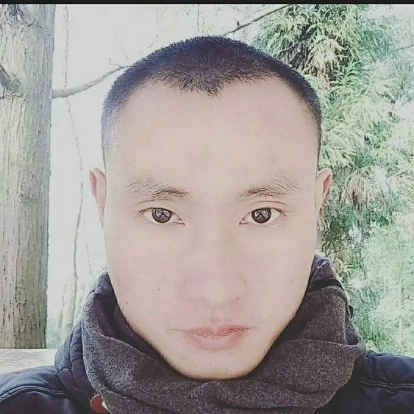 一路随机的照片