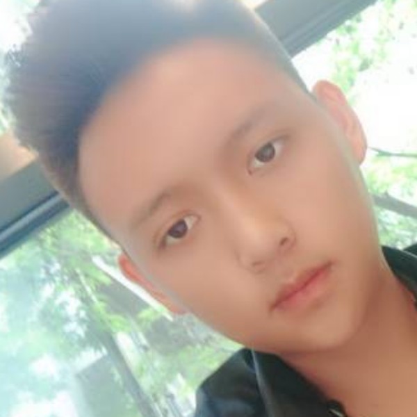明媚相许金毛的照片