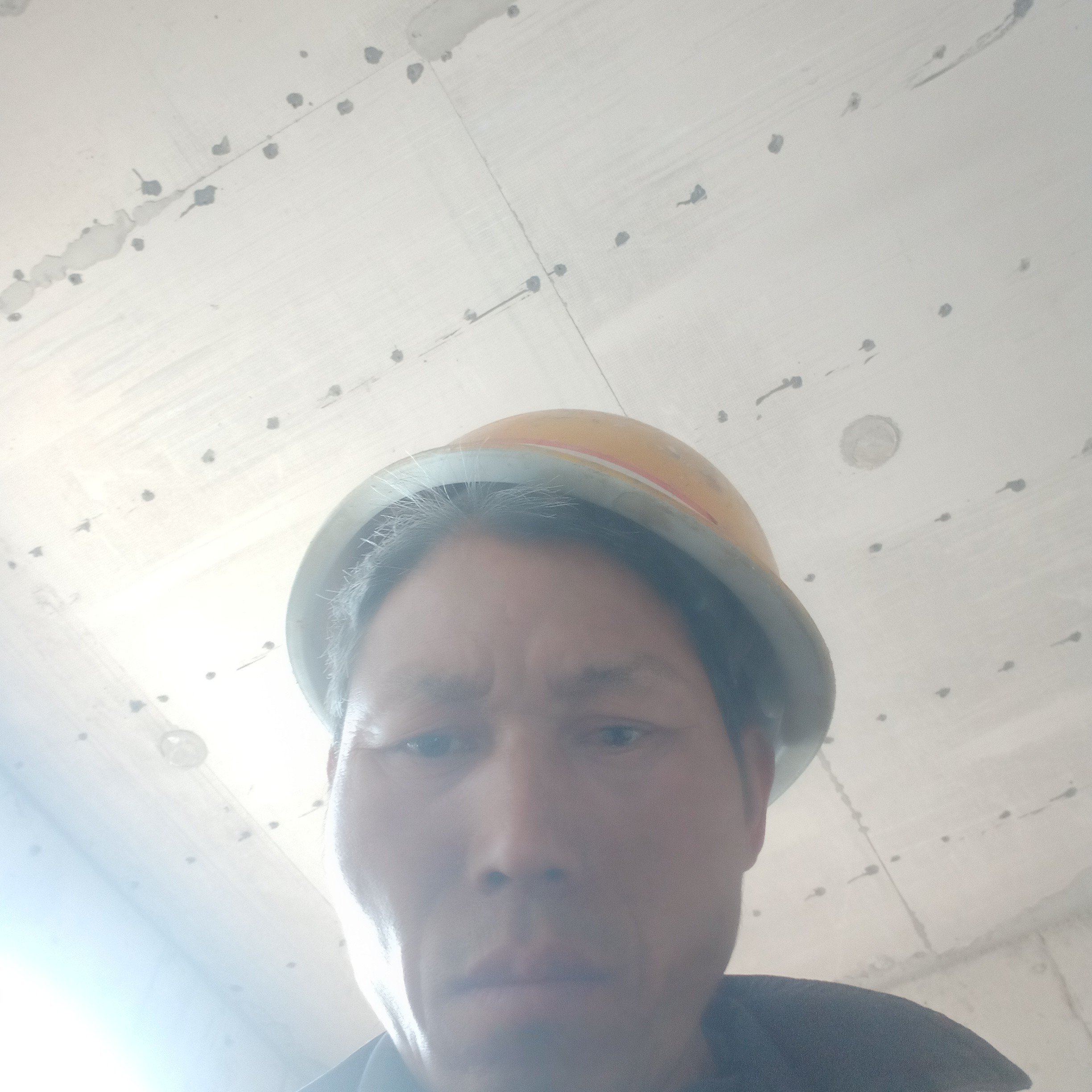 红玫瑰说悦耳的照片