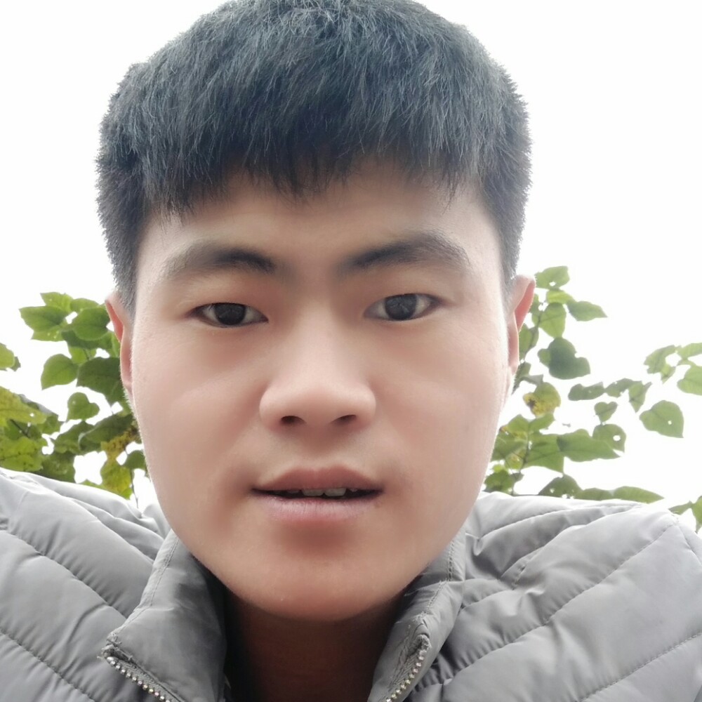小杨 先生的照片