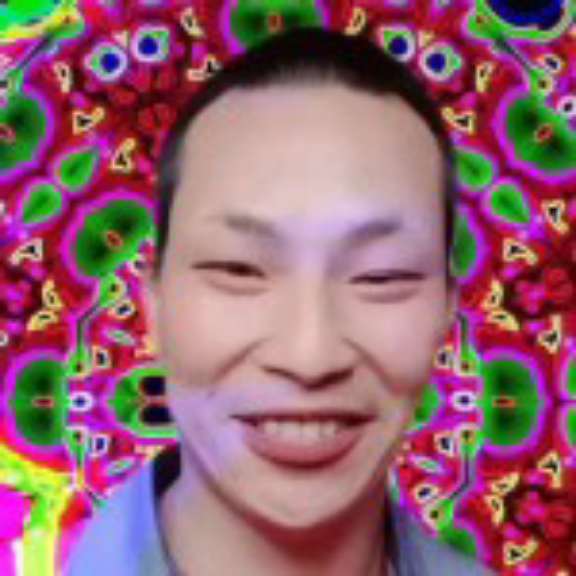 含羞草和美好的照片
