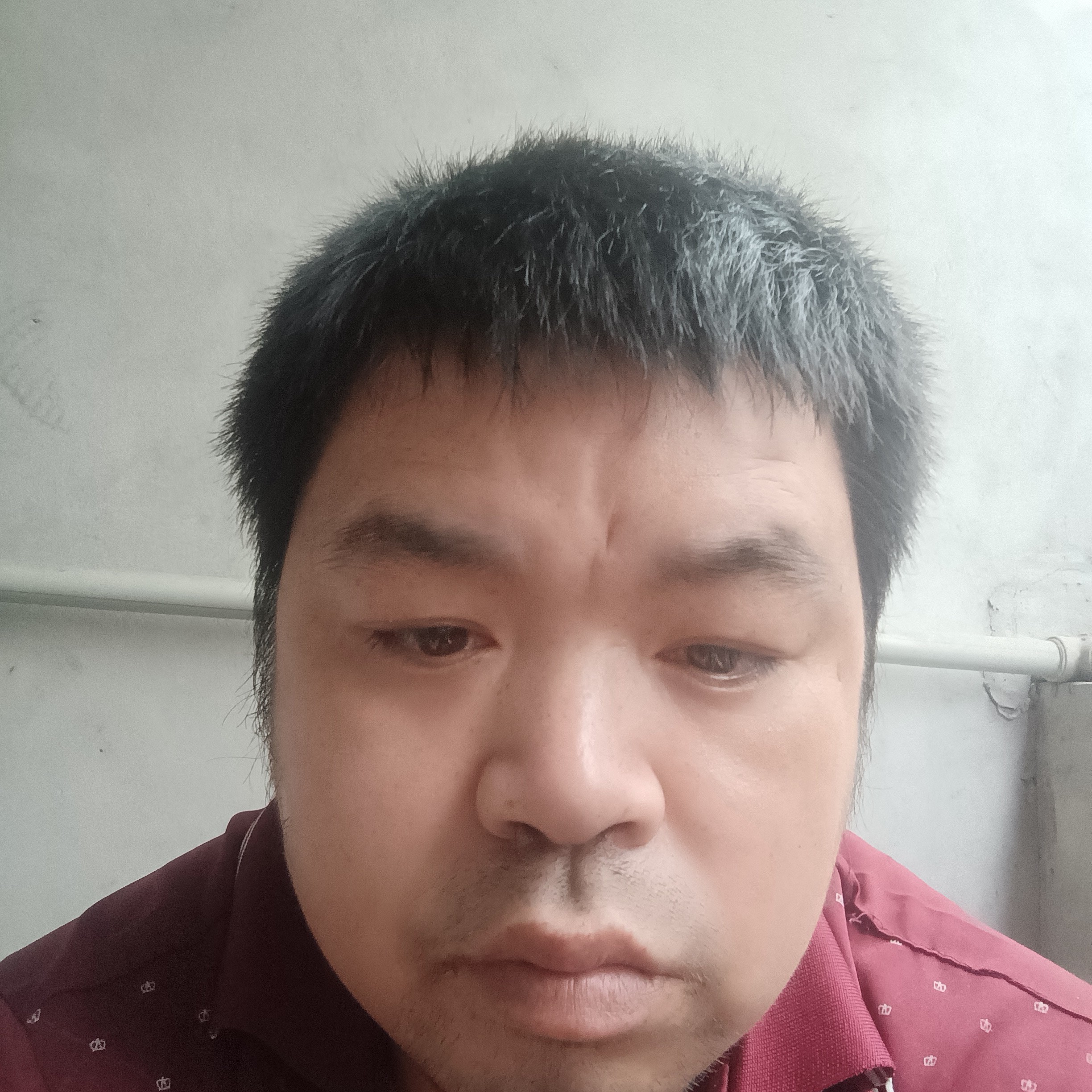 独特等于月光的照片
