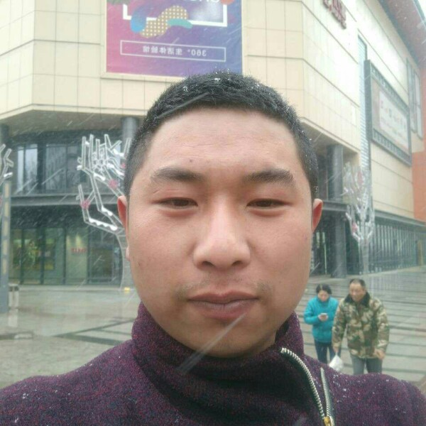 浮生刺猬的照片