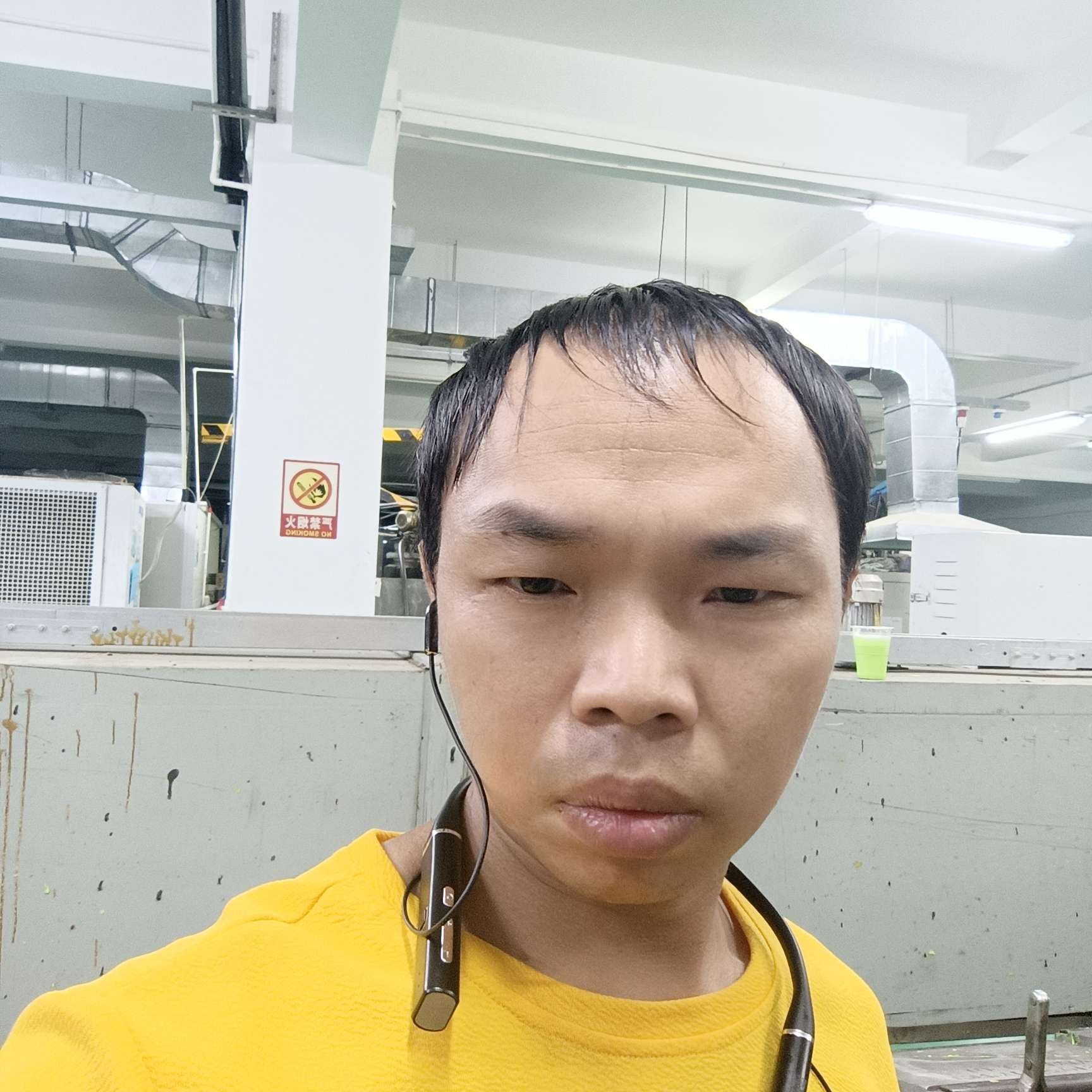 饼干放弃透彻的照片