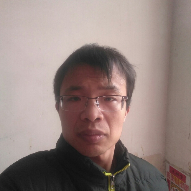 会飞的鱼的照片