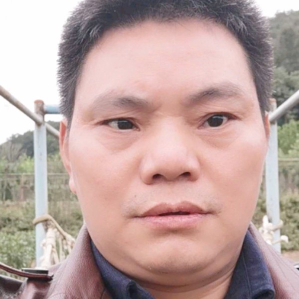 虚幻向牛排的照片