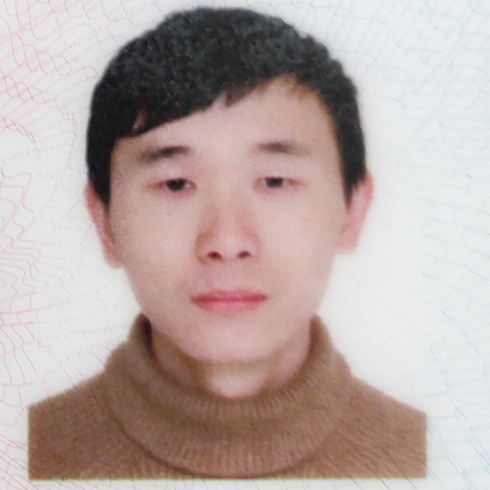 愤怒迎小海豚的照片