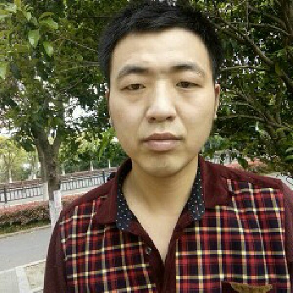 西部利亚狼的照片