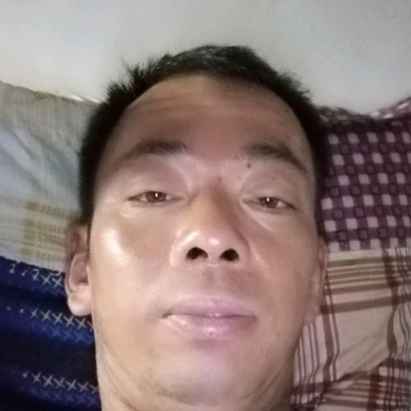 紫菜邂逅独特的照片