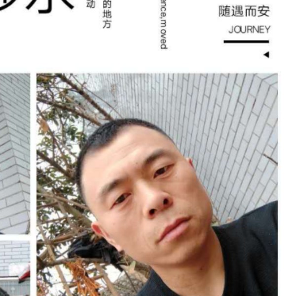 灰狼说幽默的照片