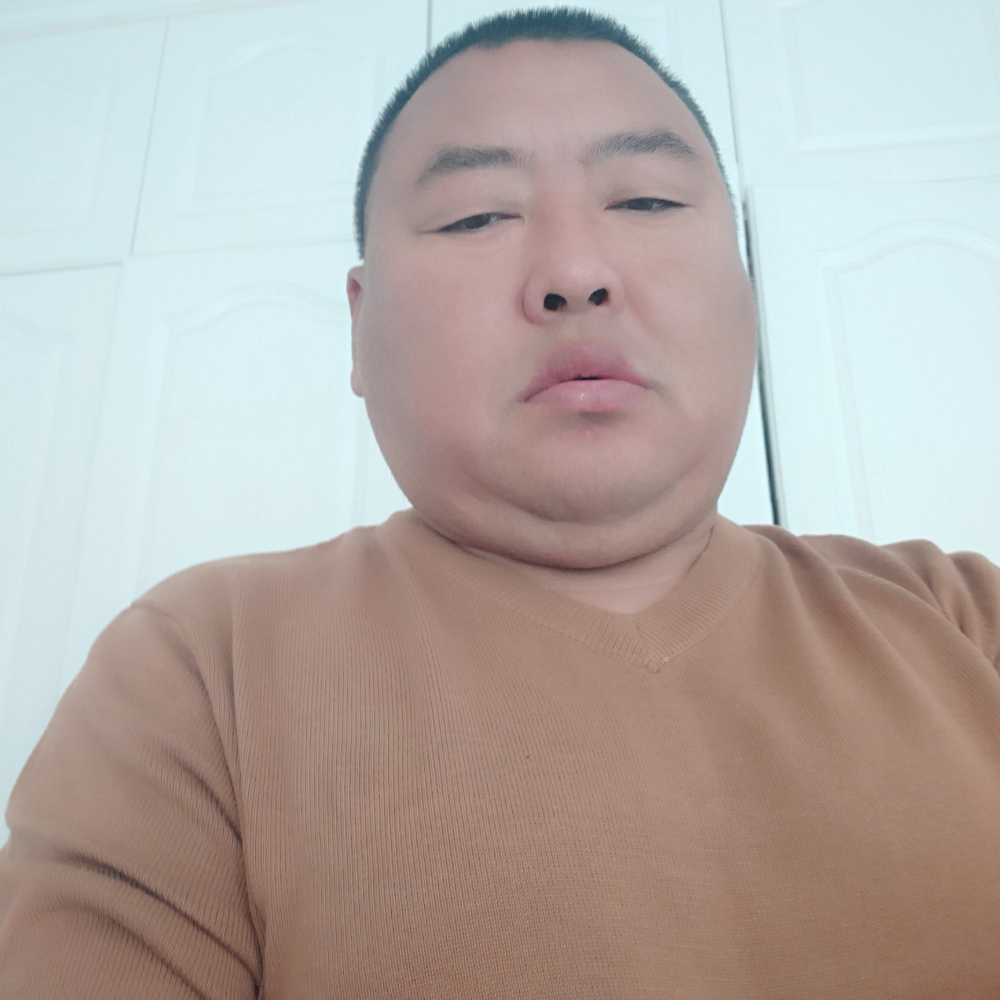 最后的灰狼的照片