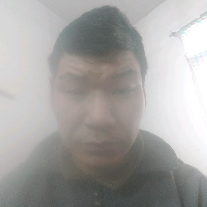 傻傻蹙眉康乃馨的照片
