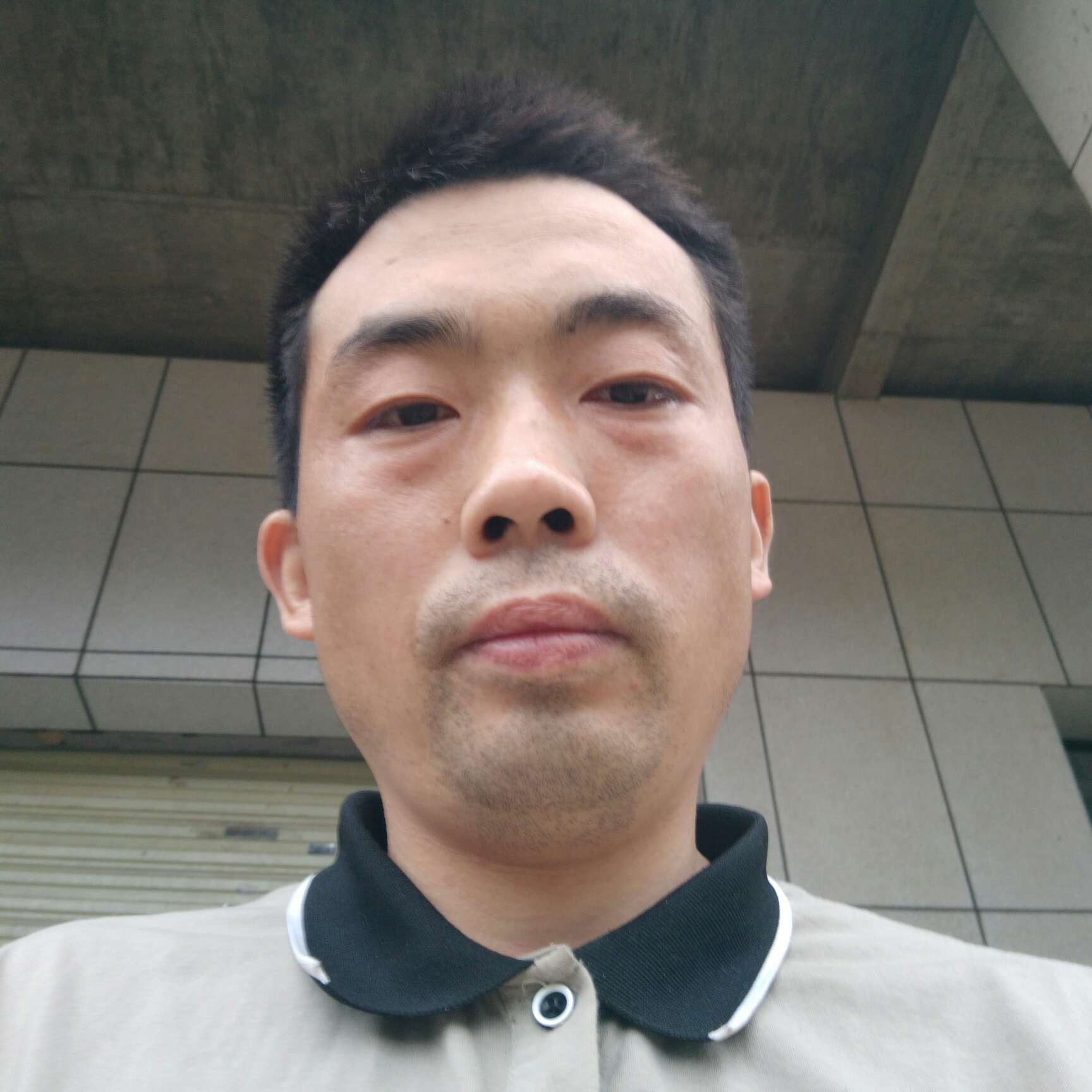 春夜色撩人的照片